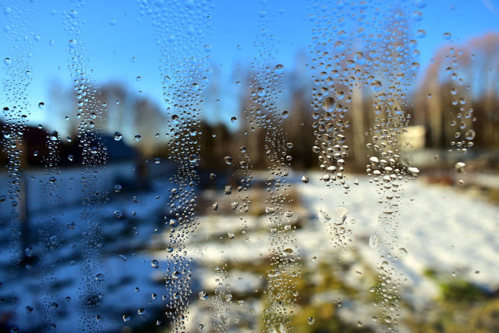 Condensation on a window on a cold morning